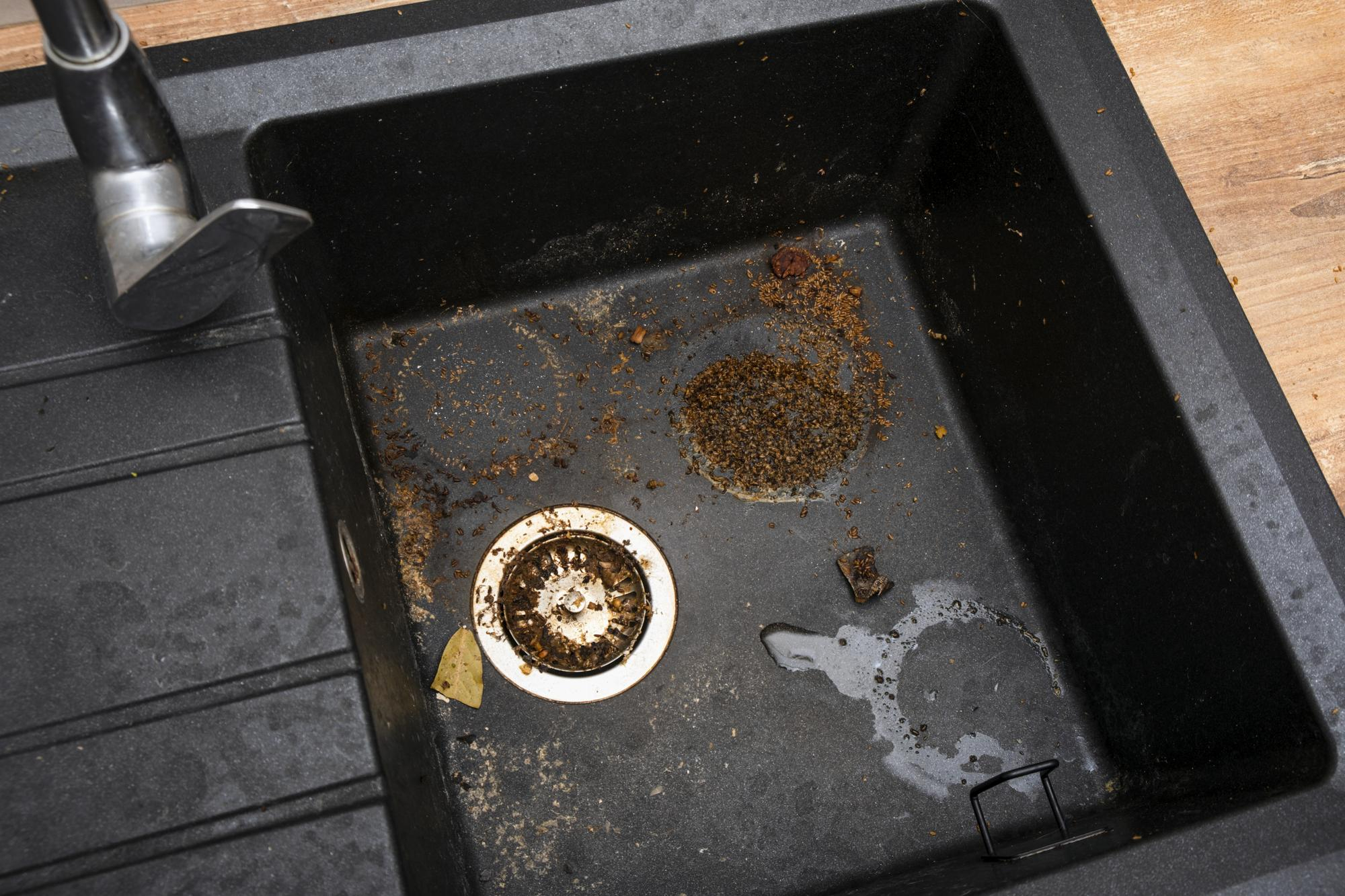 grease buildup in kitchen drains